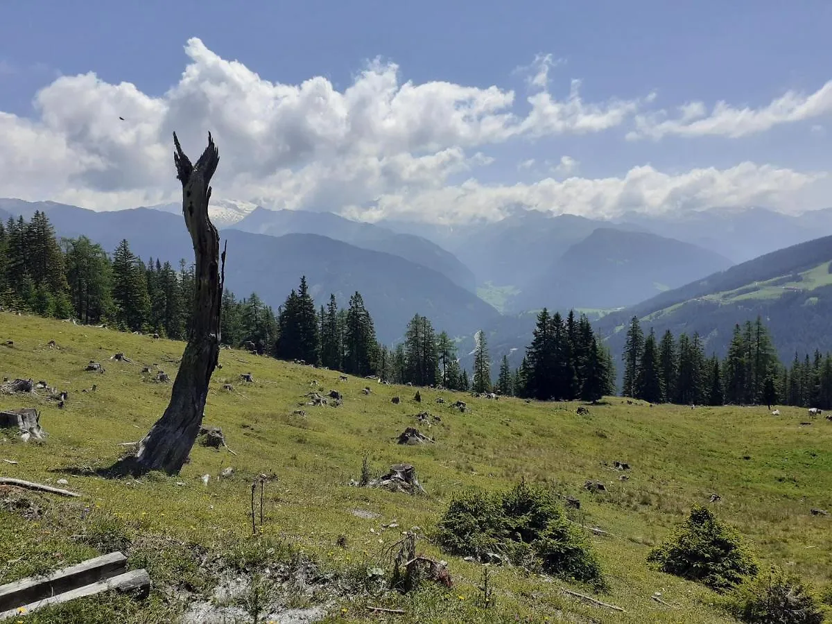 Apartment Serlesblick Ellbögen Oostenrijk